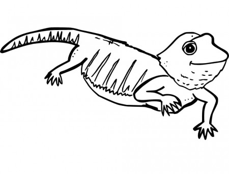Cute Bearded Dragon Coloring Page - Free Printable Coloring Pages for Kids
