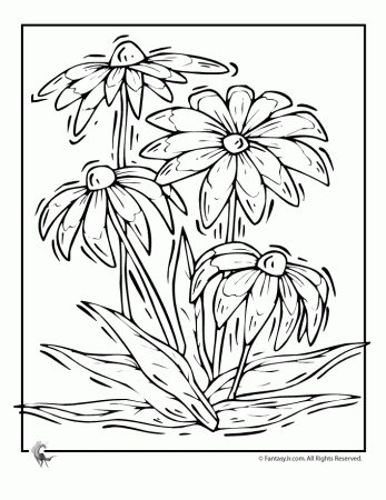 coloring pages for adults flowers