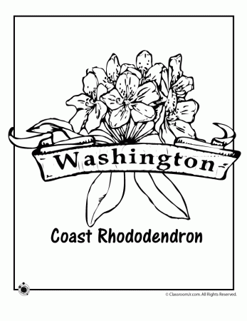 Coast Rhododendron - Washington State Flower Coloring Page