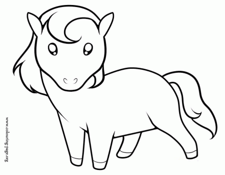 Horses - A cute little horse coloring page
