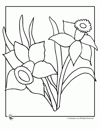 fantasy jr daffodil flower coloring page