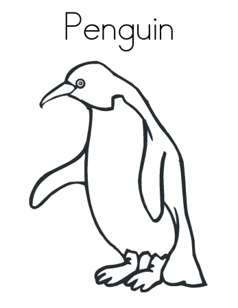 Monkey Color Page | Animal Coloring pages | Printable Coloring Pages