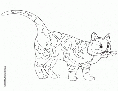 great Cat Coloring Pages for kids | Best Coloring Pages