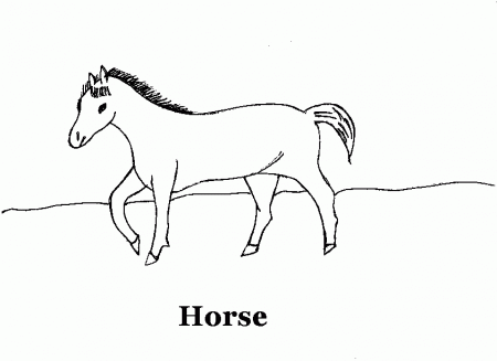 Horse coloring printable page for kids: Horse coloring printable 