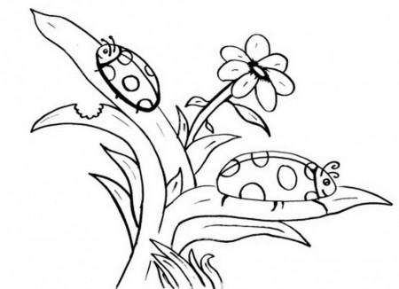 Free Printable Coloring Page To Ladybug Coloring Animals Insects 