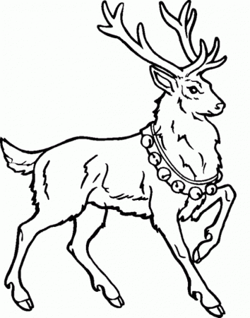 Cute Reindeer Coloring Sheet