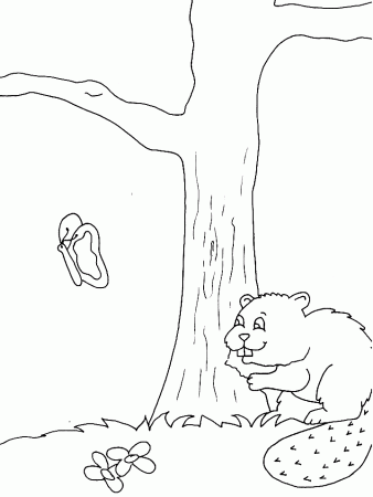 Beavers Colouring Pages- PC Based Colouring Software, thousands of 