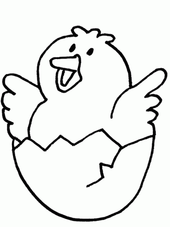 baby cute animal chicken coloring pages for kid best