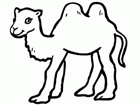 Camels Colouring Pages- PC Based Colouring Software, thousands of 