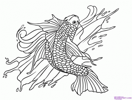 Koi Coloring Pages 287783 Koi Fish Coloring Page
