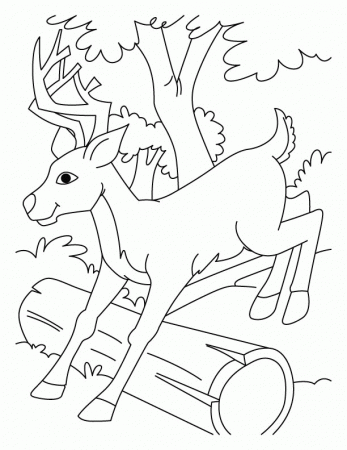 Jumping deer coloring pages | Download Free Jumping deer coloring 