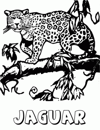 Jaguar On Tree Limb Coloring Page Http 32203 Wild Cats Coloring Pages