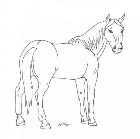 Arabian Horse Coloring Pages Print | 99coloring.com
