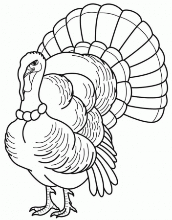 Thanksgiving Coloring Pages For The Kids
