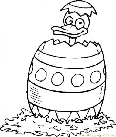 eggs and duck Colouring Pages (page 2)