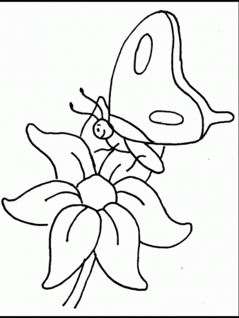 butterflies and flower coloring pages | Coloring Pages