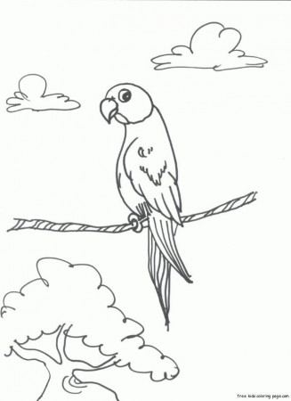 color Parrot Coloring Pages for kids | Best Coloring Pages