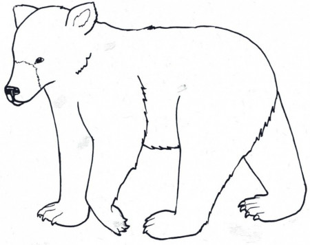 Grizzly Bear Coloring Page Koala Polar Free Printable Pictures Of 