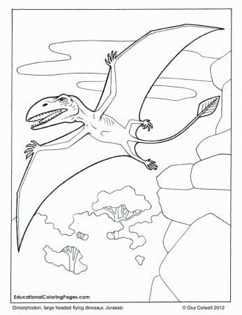 Dinosaurs and Early Mammals Coloring Books