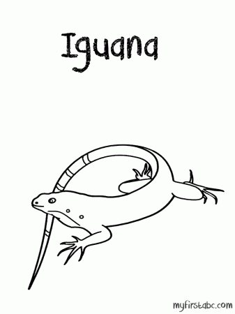 iguanas Colouring Pages (page 2)