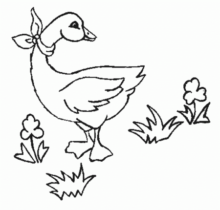 Download Kids Printable Animal Coloring Pages Goose Or Print Kids 