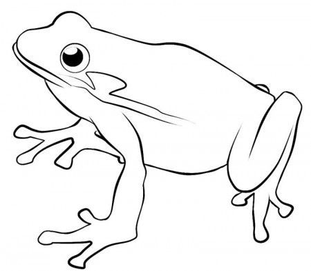 One Single Frog Coloring Page: one-single-frog-coloring-pages 