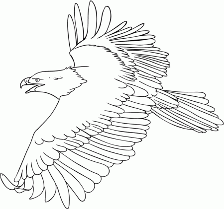 extremly hard coloring pages eagles