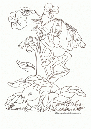 Fairy 5 Coloring Page