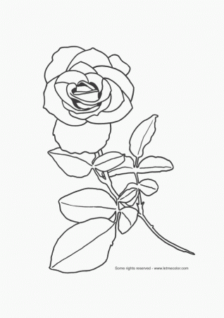 Spider Coloring Pages 09 Coloring Pages For Kids 248223 Spider 