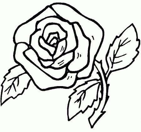 Download Free Rose Coloring Pages Printable Or Print Free Rose 