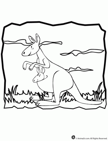 20 Kangaroo Coloring Picture | Free Coloring Page Site