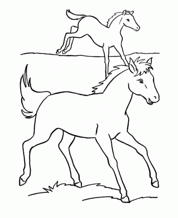 Horse Coloring Pages 113 275663 High Definition Wallpapers| wallalay.
