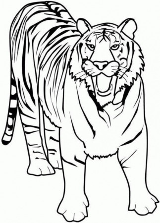 Coloring Pages Tiger - HD Printable Coloring Pages