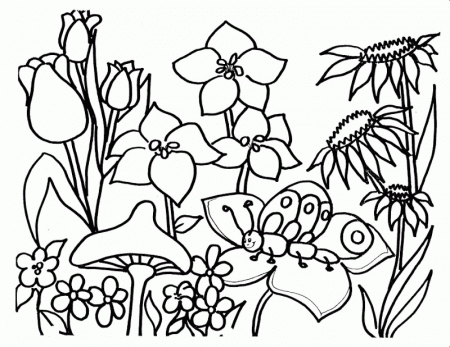 Coloring Pages Of Wildflowers