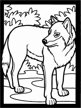 Canku Ota - November 16, 2002 - Gray Wolf - Coloring Page