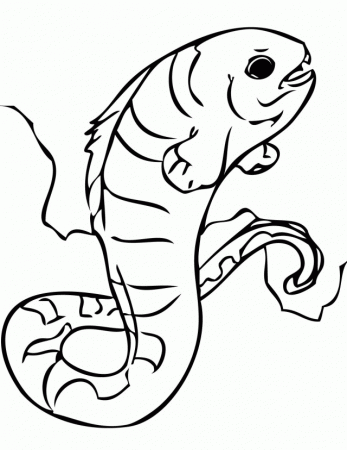 Wolf Eel Coloring Page Handipoints 11726 Eel Coloring Pages