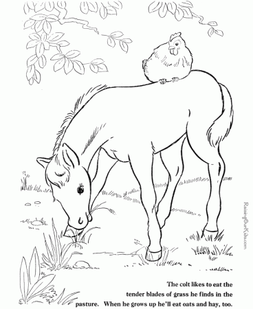 horse coloring pictures farm animals