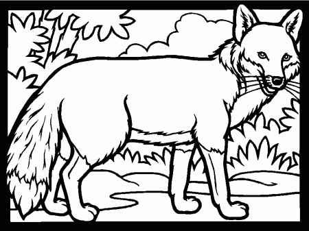 Fox Colouring Pages- PC Based Colouring Software, thousands of 