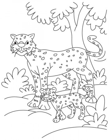 baby Cheetah Colouring Pages (page 3)