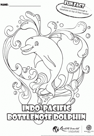 Bottlenose Dolphin Coloring Pages | Free coloring pages