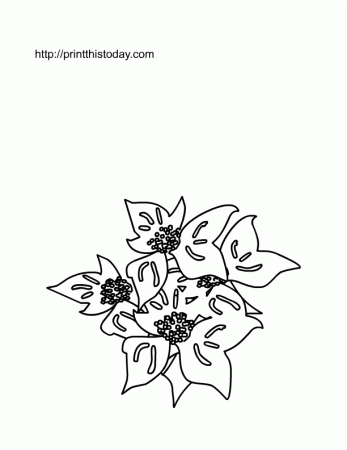 Free Printable Spring Flowers Coloring Pages | Print This Today