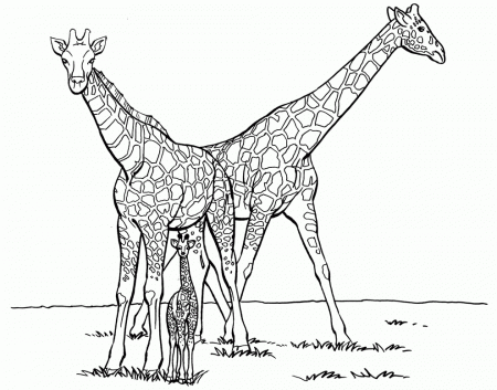 Family-Giraffe-Coloring-Page.jpg