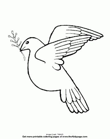 Dove - Free Coloring Pages for Kids - Printable Colouring Sheets