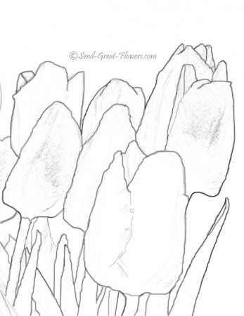 Printable Tulip Coloring Page With Full Color Guide