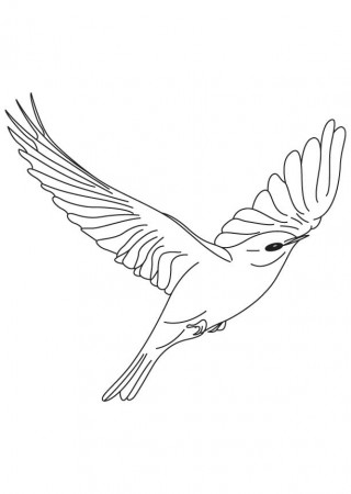 bright bluebird flying coloring page | Download Free bright 