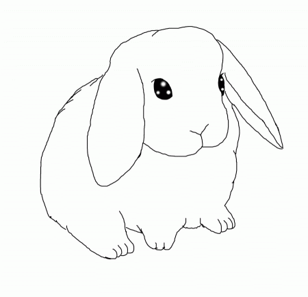 Lop-eared bunny, Lineart by Thistleflight on deviantART