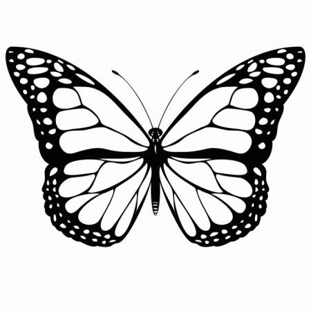 Painted Lady Butterfly Coloring Pages | 99coloring.com