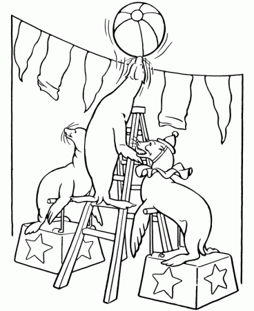 Circus Animal Coloring Pages | Printable performing Trained 