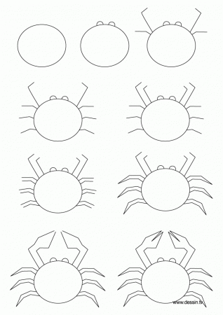 Drawing crab