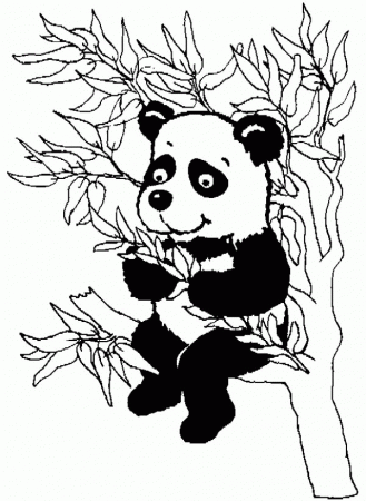 Panda Eating Bamboo Leaves Coloring Page | Coloring Sun